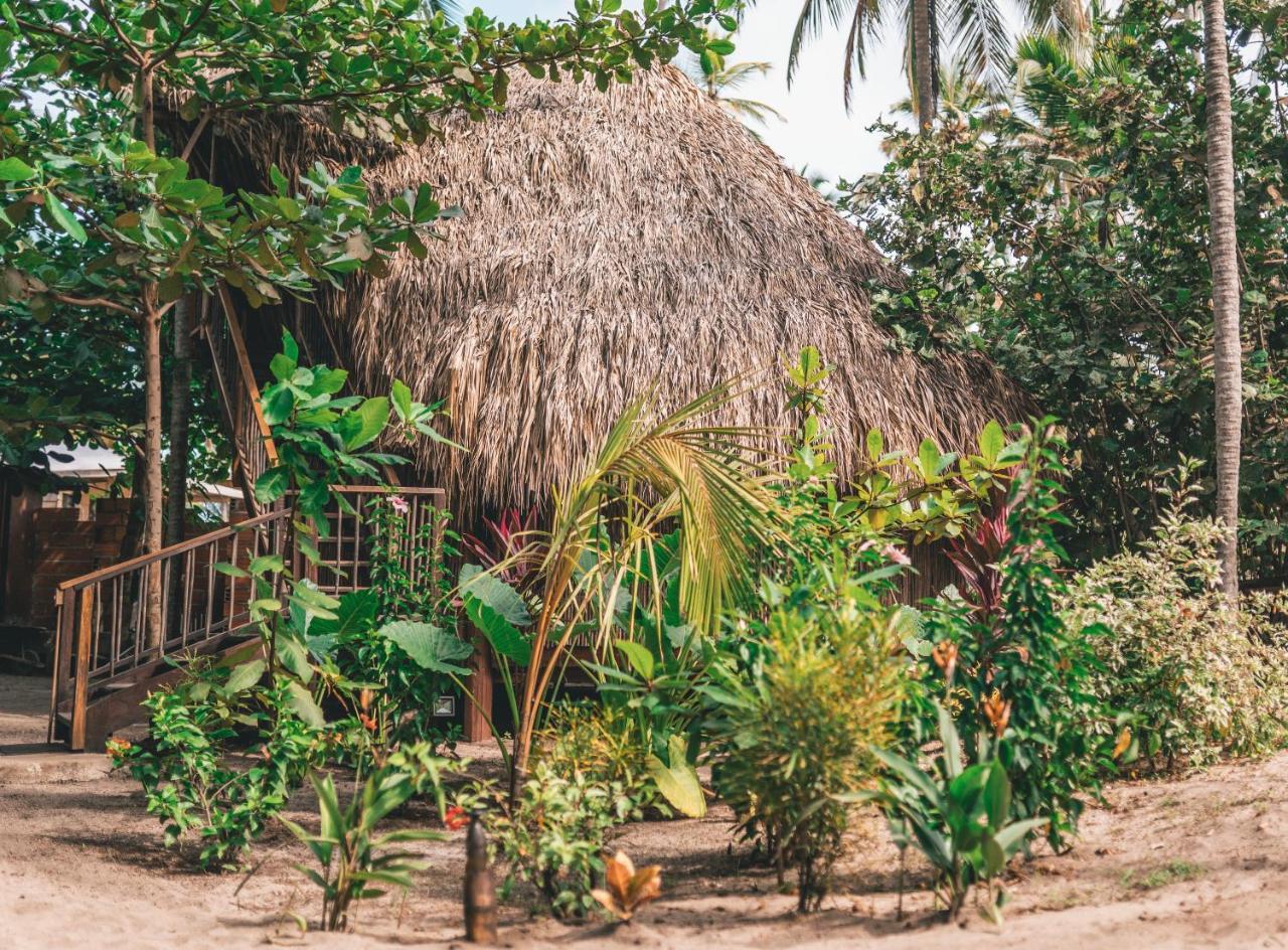 Los Hermanos Beach Hostal Guachaca Екстериор снимка